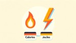 Calories to Joules Handy Online Calculator