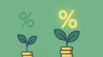 Increasing Percentage Calculator Online
